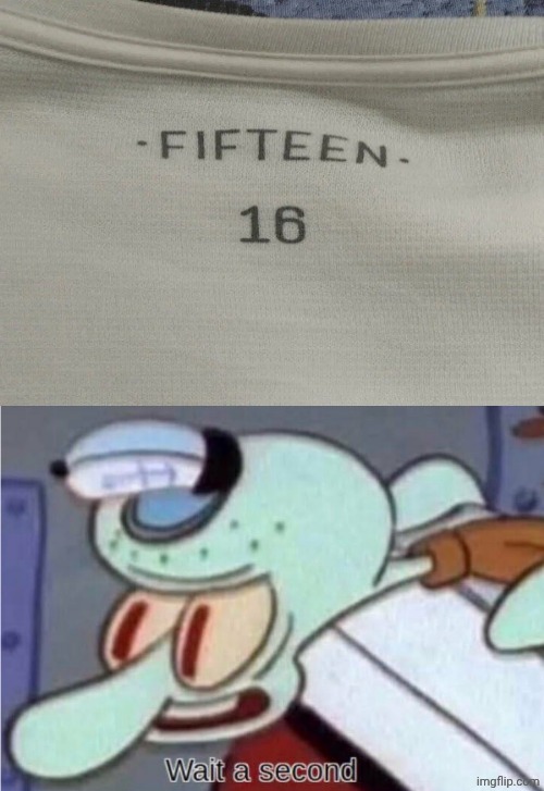 Fifteen 16 | image tagged in squidward wait a second,fifteen,16,shirt,you had one job,memes | made w/ Imgflip meme maker