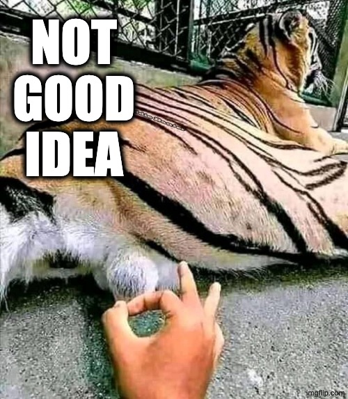Not a good idea | NOT
GOOD
IDEA | image tagged in play stupid games | made w/ Imgflip meme maker
