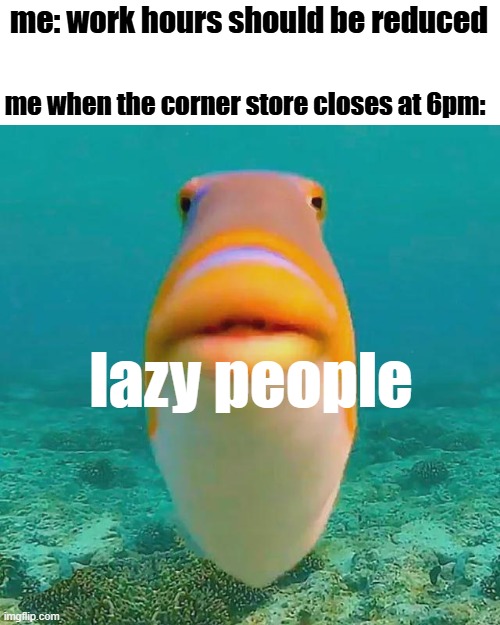 Me vs. Me | me: work hours should be reduced; me when the corner store closes at 6pm:; lazy people | image tagged in work,fun | made w/ Imgflip meme maker