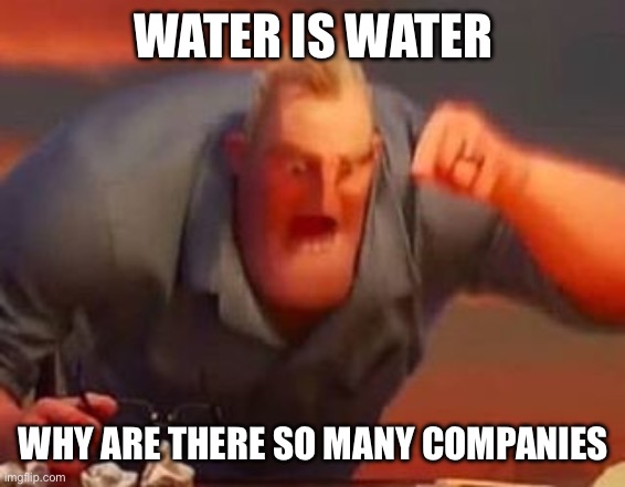 Water is water | WATER IS WATER; WHY ARE THERE SO MANY COMPANIES | image tagged in mr incredible mad | made w/ Imgflip meme maker