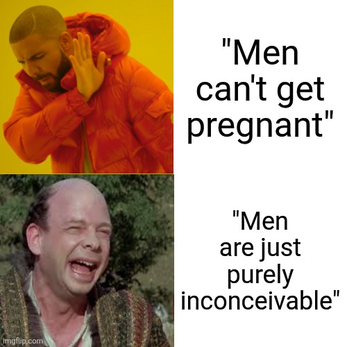 Insert Your Clever Title Here! | "Men can't get pregnant"; "Men are just purely inconceivable" | image tagged in memes,drake hotline bling,fun,the princess bride,princess bride vizzini | made w/ Imgflip meme maker