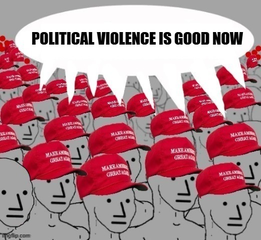 Ilhan Omar attacked due to her race, and Trump who already staged stuff before is saying this is staged...wild | POLITICAL VIOLENCE IS GOOD NOW | image tagged in maga npc redhats | made w/ Imgflip meme maker