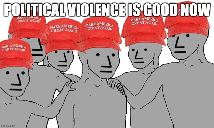 Omar attacked | POLITICAL VIOLENCE IS GOOD NOW | image tagged in maga npc | made w/ Imgflip meme maker