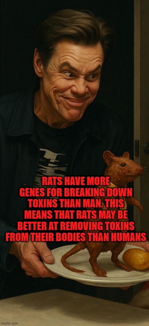 *eew face time* | RATS HAVE MORE GENES FOR BREAKING DOWN TOXINS THAN MAN. THIS MEANS THAT RATS MAY BE BETTER AT REMOVING TOXINS FROM THEIR BODIES THAN HUMANS | image tagged in jim carrey offering a fried alive rat | made w/ Imgflip meme maker