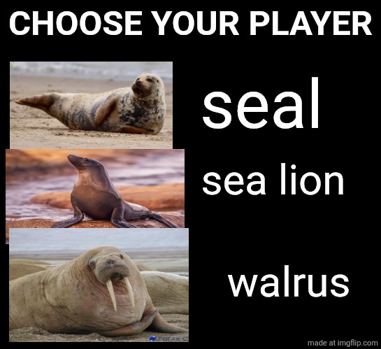 instagram made me love these animals | CHOOSE YOUR PLAYER; seal; sea lion; walrus | made w/ Imgflip meme maker