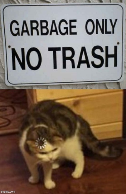 image tagged in loading cat | made w/ Imgflip meme maker