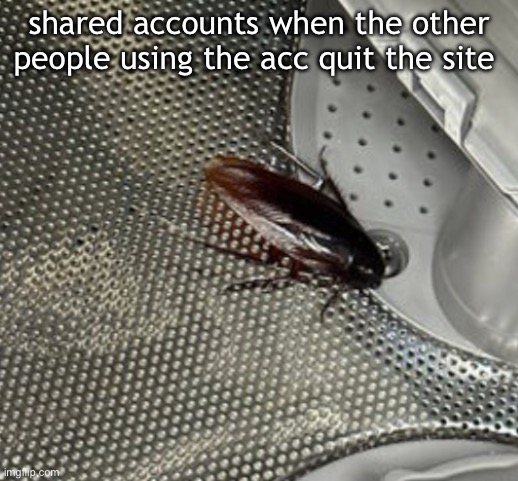 cockroach | shared accounts when the other people using the acc quit the site | image tagged in cockroach | made w/ Imgflip meme maker