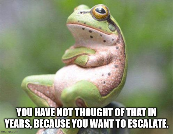 YOU HAVE NOT THOUGHT OF THAT IN YEARS, BECAUSE YOU WANT TO ESCALATE. | image tagged in frog crossed arms | made w/ Imgflip meme maker