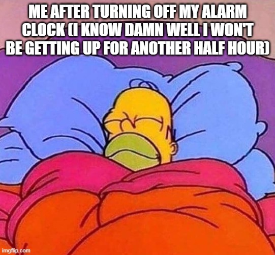 i'm at school right now lol | ME AFTER TURNING OFF MY ALARM CLOCK (I KNOW DAMN WELL I WON'T BE GETTING UP FOR ANOTHER HALF HOUR) | image tagged in homer simpson sleeping peacefully,alarm clock | made w/ Imgflip meme maker