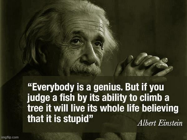 Einstein, wise man | image tagged in albert einstein | made w/ Imgflip meme maker