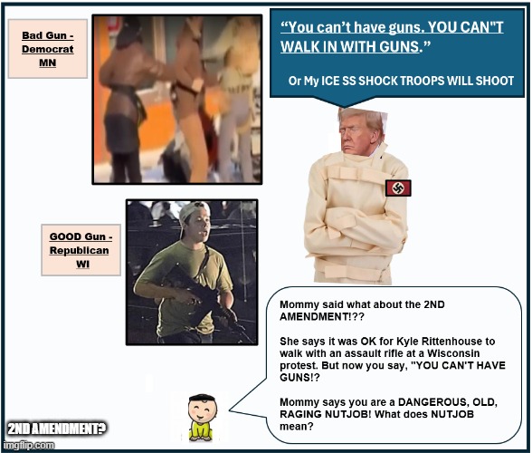 Guns Not Allowed | 2ND AMENDMENT? | image tagged in guns not allowed | made w/ Imgflip meme maker