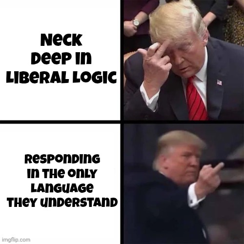 It's just a reflex action | Neck Deep in Liberal Logic; Responding in the only Language they understand | image tagged in trump pointing,flipping the bird,it just happened,liberal logic,discovering something that doesn t exist | made w/ Imgflip meme maker