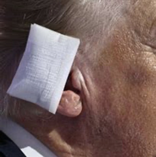 Ear pillow Blank Meme Template