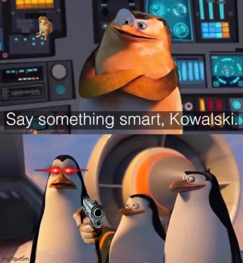 image tagged in say something smart kowalski | made w/ Imgflip meme maker