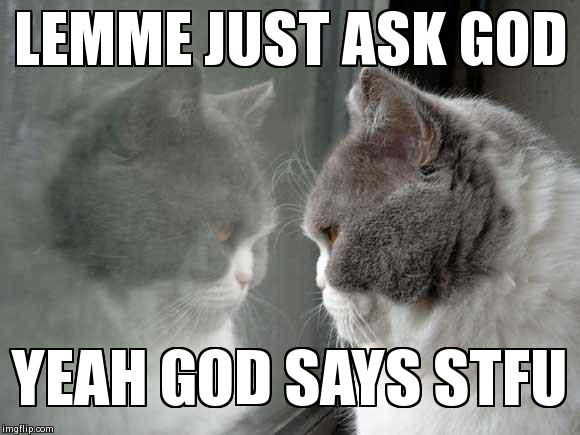 god cat | LEMME JUST ASK GOD YEAH GOD SAYS STFU | image tagged in god cat | made w/ Imgflip meme maker