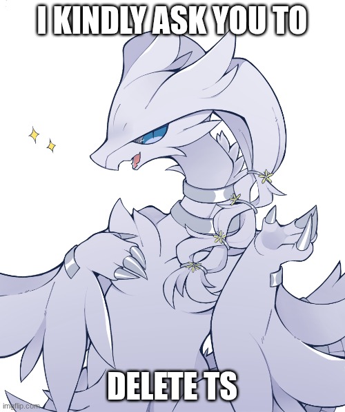 reshiram got Rockstar swag | I KINDLY ASK YOU TO DELETE TS | image tagged in reshiram got rockstar swag | made w/ Imgflip meme maker