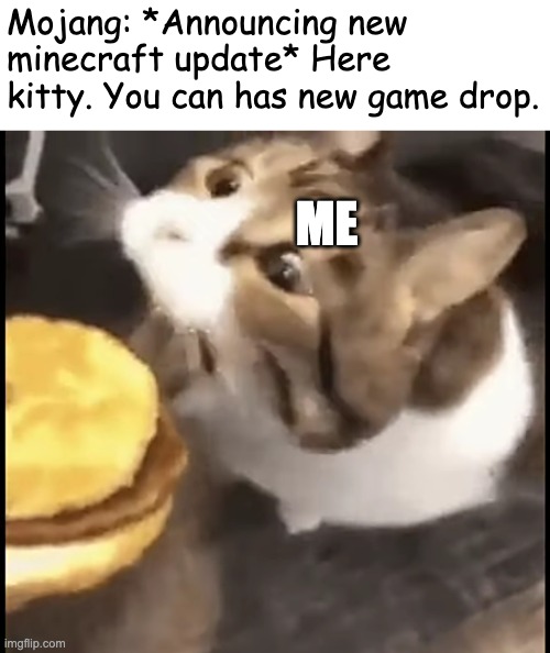 I love it when they give us new stuff to mess around with >:] | Mojang: *Announcing new minecraft update* Here kitty. You can has new game drop. ME | image tagged in here kitty you can has cheese burger,minecraft,minecraft update | made w/ Imgflip meme maker