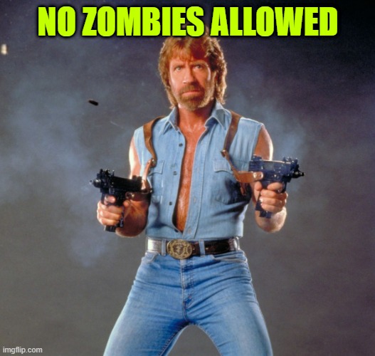 Chuck Norris Guns Meme | NO ZOMBIES ALLOWED | image tagged in memes,chuck norris guns,chuck norris | made w/ Imgflip meme maker