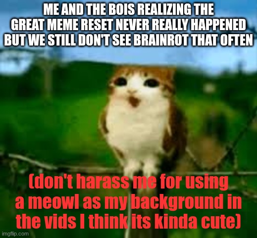 Great meme reset? where? when? what? why? how? | ME AND THE BOIS REALIZING THE GREAT MEME RESET NEVER REALLY HAPPENED BUT WE STILL DON'T SEE BRAINROT THAT OFTEN; (don't harass me for using a meowl as my background in the vids I think its kinda cute) | image tagged in meowl,idk | made w/ Imgflip meme maker