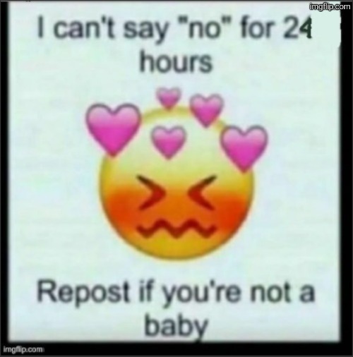 cant say no | image tagged in cant say no | made w/ Imgflip meme maker