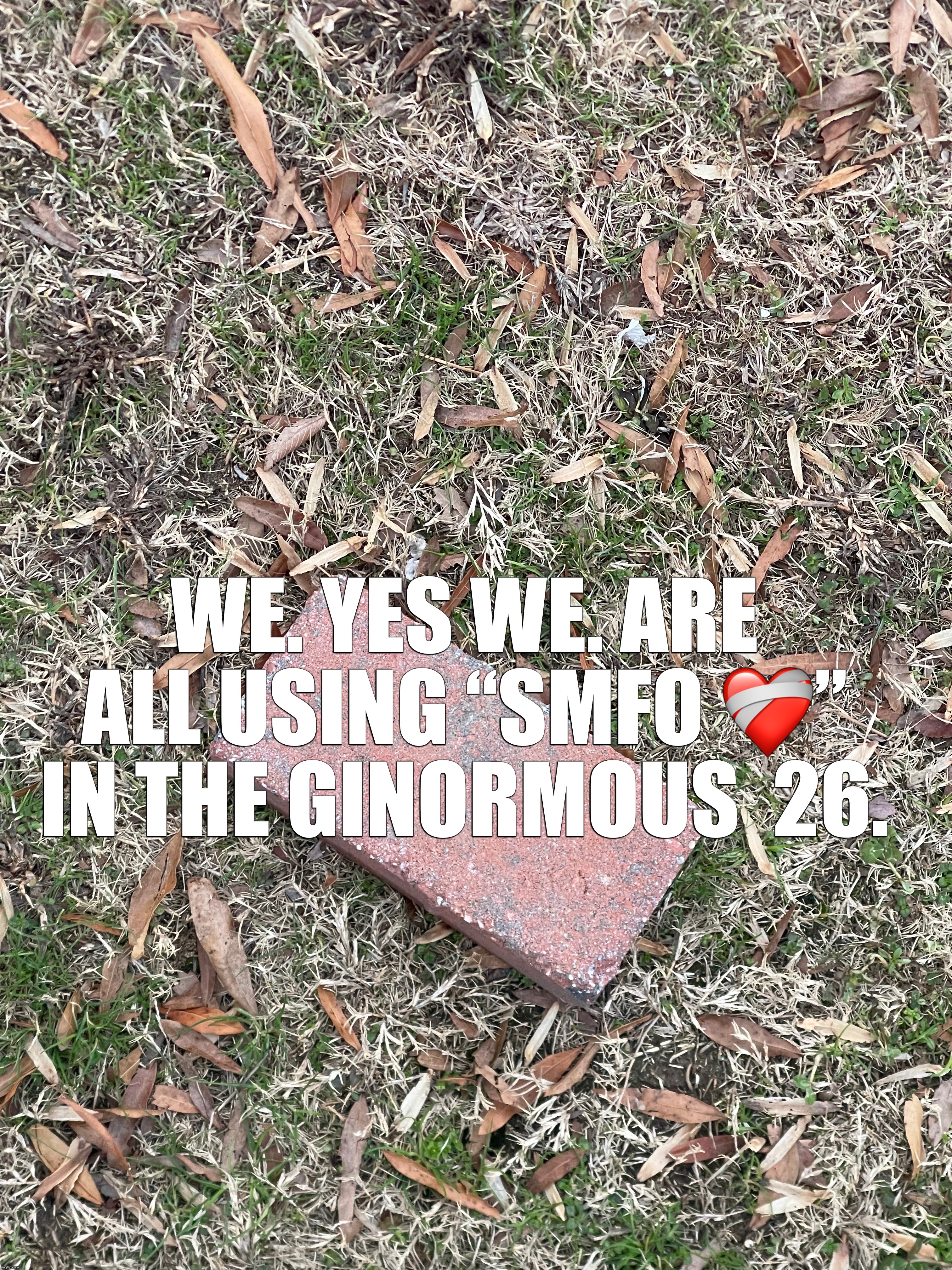 ignore my pet brick | WE. YES WE. ARE ALL USING “SMFO ❤️‍🩹” IN THE GINORMOUS  26. | made w/ Imgflip meme maker