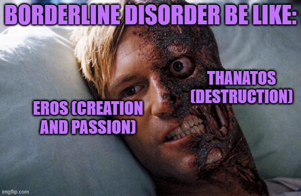 literally like having two sides.. | BORDERLINE DISORDER BE LIKE:; THANATOS (DESTRUCTION); EROS (CREATION AND PASSION) | image tagged in two face | made w/ Imgflip meme maker