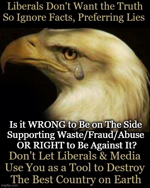 Good OR Evil? Let Common Sense & Conscience Be Your Guide. | Liberals Don't Want the Truth
So Ignore Facts, Preferring Lies; Is it WRONG to Be on The Side 
Supporting Waste/Fraud/Abuse 
OR RIGHT to Be Against It? Don't Let Liberals & Media 
Use You as a Tool to Destroy 
The Best Country on Earth | image tagged in eagle with tear,america,liberals vs conservatives,choose wisely,good vs evil,right vs wrong | made w/ Imgflip meme maker