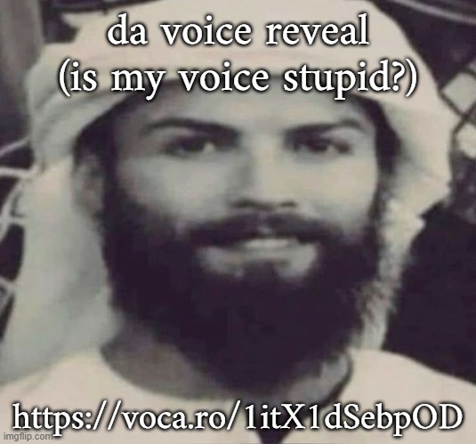Muslimano Ronaldo | da voice reveal (is my voice stupid?); https://voca.ro/1itX1dSebpOD | image tagged in muslimano ronaldo | made w/ Imgflip meme maker
