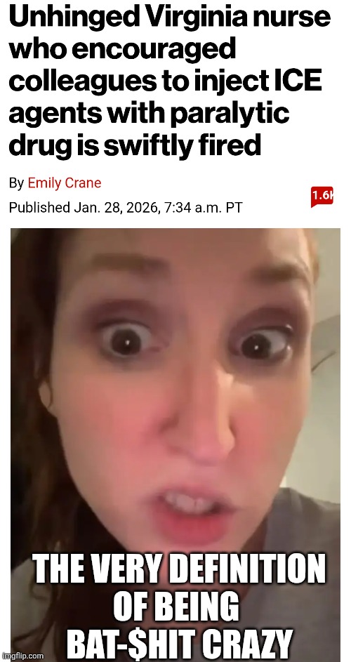Weaponize the medical staff | THE VERY DEFINITION
OF BEING 
BAT-$HIT CRAZY | image tagged in leftists,liberals,ice,nurse,democrats,minnesota | made w/ Imgflip meme maker