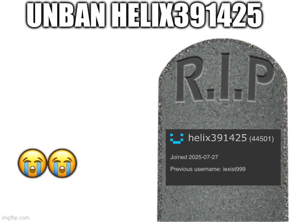 UNBAN HELIX391425; 😭😭 | image tagged in 67 | made w/ Imgflip meme maker