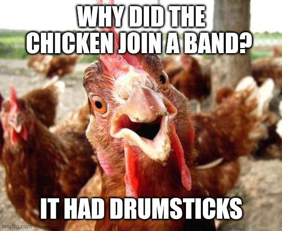 Chicken Joke | WHY DID THE CHICKEN JOIN A BAND? IT HAD DRUMSTICKS | image tagged in chicken,funny meme | made w/ Imgflip meme maker