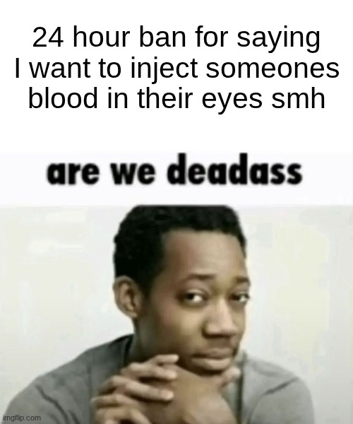 nice to know we can post animal sex and not simple unrealistic threats | 24 hour ban for saying I want to inject someones blood in their eyes smh | image tagged in are we deadass | made w/ Imgflip meme maker