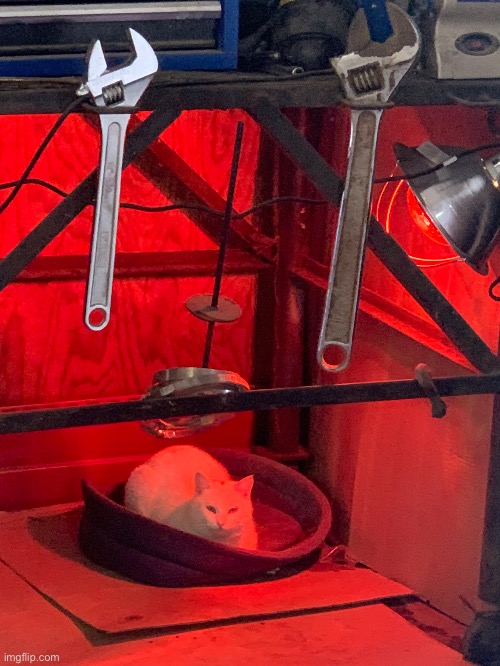 Bro got a heat lamp | made w/ Imgflip meme maker