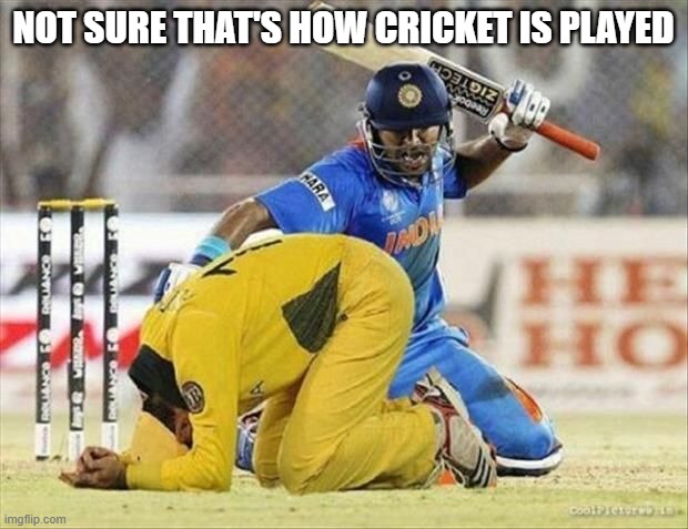Cricket? | NOT SURE THAT'S HOW CRICKET IS PLAYED | image tagged in sports | made w/ Imgflip meme maker