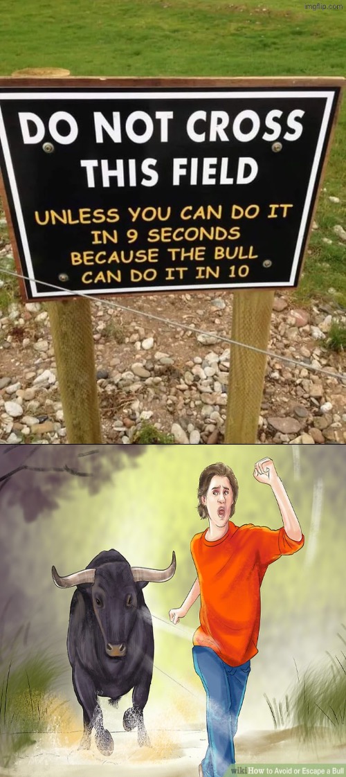 Racing A Bull | image tagged in bulls,running,funny signs,im warning you,racing,duhhh dumbass | made w/ Imgflip meme maker