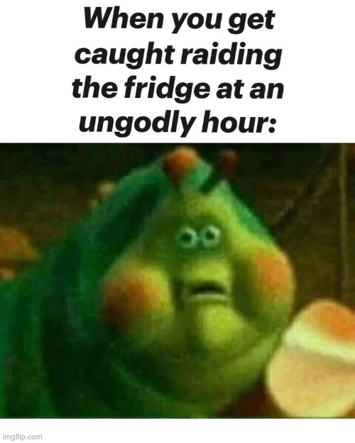image tagged in memes,funny,fridge,relatable | made w/ Imgflip meme maker