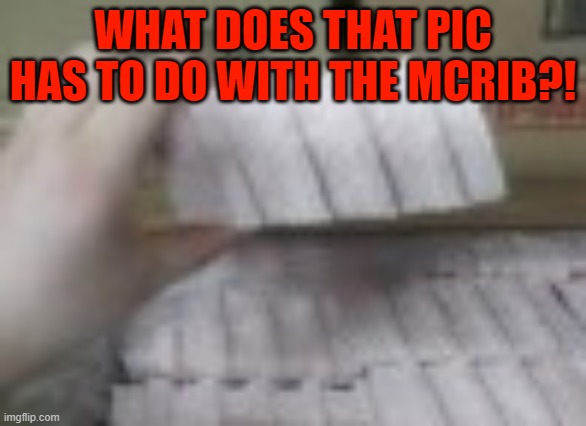 McRib | WHAT DOES THAT PIC HAS TO DO WITH THE MCRIB?! | image tagged in mcrib | made w/ Imgflip meme maker