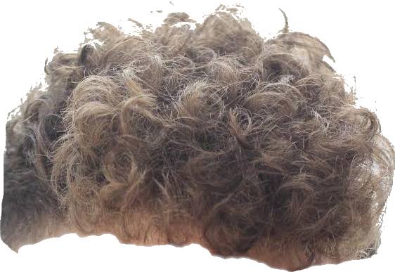 Gen Z hair Blank Meme Template