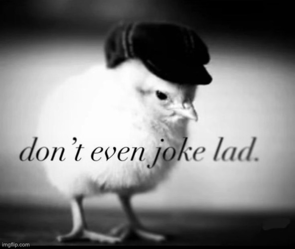 Don't Even Joke Lad | image tagged in don't even joke lad | made w/ Imgflip meme maker