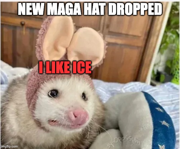 bunny ear rodent | NEW MAGA HAT DROPPED; I LIKE ICE | image tagged in bunny ear rodent | made w/ Imgflip meme maker