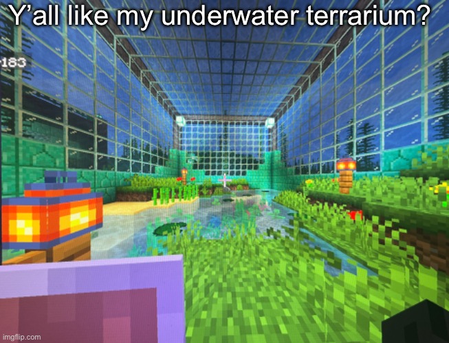 Not my best build (not even close) but it’s a pretty cozy feel | Y’all like my underwater terrarium? | made w/ Imgflip meme maker