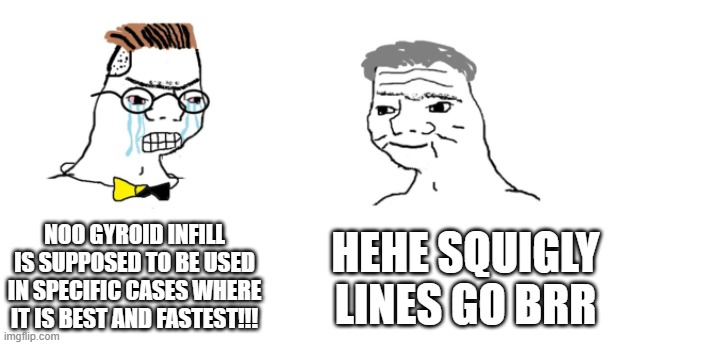Gyroid go brr | NOO GYROID INFILL IS SUPPOSED TO BE USED IN SPECIFIC CASES WHERE IT IS BEST AND FASTEST!!! HEHE SQUIGLY LINES GO BRR | image tagged in nooo haha go brrr | made w/ Imgflip meme maker
