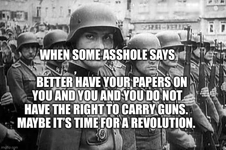 Grammar Nazi rank & file | WHEN SOME ASSHOLE SAYS ,                                 BETTER HAVE YOUR PAPERS ON YOU AND YOU AND YOU DO NOT HAVE THE RIGHT TO CARRY GUNS.   MAYBE IT’S TIME FOR A REVOLUTION. | image tagged in grammar nazi rank file | made w/ Imgflip meme maker
