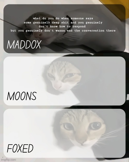 maddox, moons, n foxed kitty temp | what do you do when someone says some genuinely deep shit and you genuinely don't know how to respond 
but you genuinely don't wanna end the conversation there | image tagged in maddox moons n foxed kitty temp | made w/ Imgflip meme maker