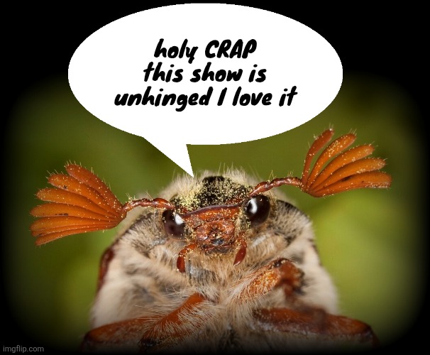 Doodlebug/odd announcement temp | holy CRAP this show is unhinged I love it | image tagged in doodlebug/odd announcement temp | made w/ Imgflip meme maker