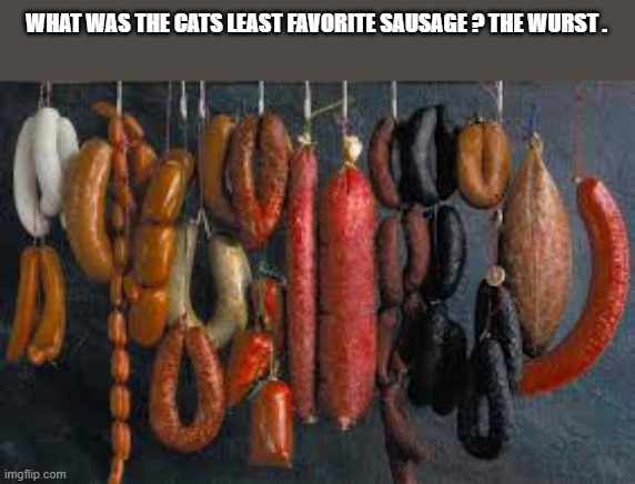 What is a cats least favorite sausage ?        --  funny  -- | WHAT WAS THE CATS LEAST FAVORITE SAUSAGE ? THE WURST . | image tagged in cat,kittens,funny,humor,sausage,play on words | made w/ Imgflip meme maker