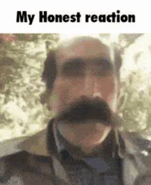 my honest reaction | image tagged in my honest reaction | made w/ Imgflip meme maker