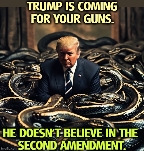 You heard him. | TRUMP IS COMING FOR YOUR GUNS. HE DOESN'T BELIEVE IN THE 
SECOND AMENDMENT. | image tagged in donald trump with snakes outside and inside his head,trump,guns,second amendment,gun grabber | made w/ Imgflip meme maker