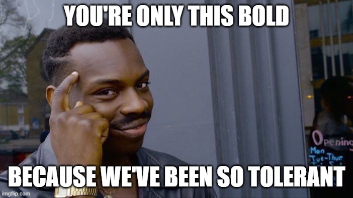 Roll Safe Think About It Meme | YOU'RE ONLY THIS BOLD; BECAUSE WE'VE BEEN SO TOLERANT | image tagged in memes,roll safe think about it | made w/ Imgflip meme maker
