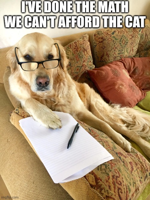 I've Done The Math | I'VE DONE THE MATH WE CAN'T AFFORD THE CAT | image tagged in chrisjoines1 | made w/ Imgflip meme maker